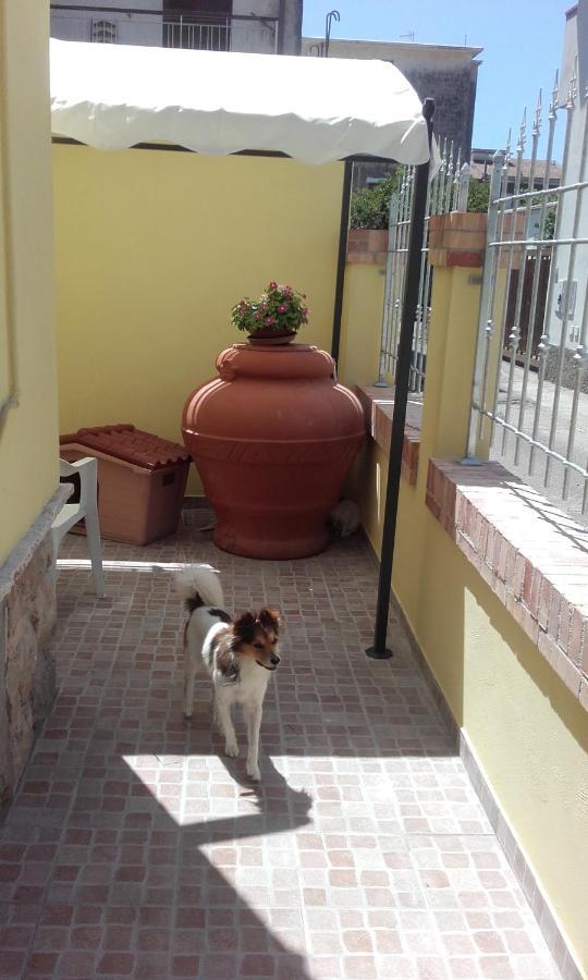B&B A Casa Di Antonella Scauri  Exterior foto